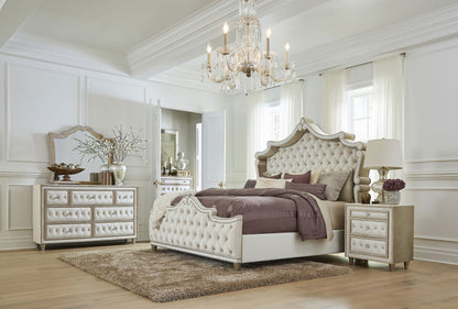 Antonella Upholstered Tufted  Bed Ivory and Camel