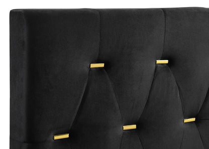 Kendall Tufted Panel  Bed Black and Gold