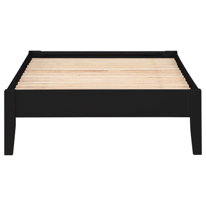 Hounslow Platform  Bed Black