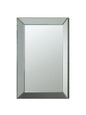 Pinciotti Rectangular Beveled Wall Mirror Silver