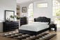 F9368Q Queen Bed Black